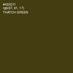 #433D11 - Thatch Green Color Image